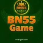 bn55-game