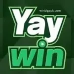 yaywin-game