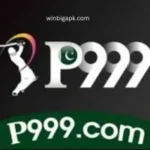 p999-game