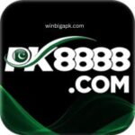 pk8888-game