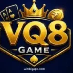 VQ8 Game