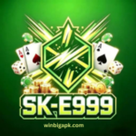 SK-E999 Game