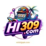 HI309 Game