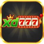 xd777-game